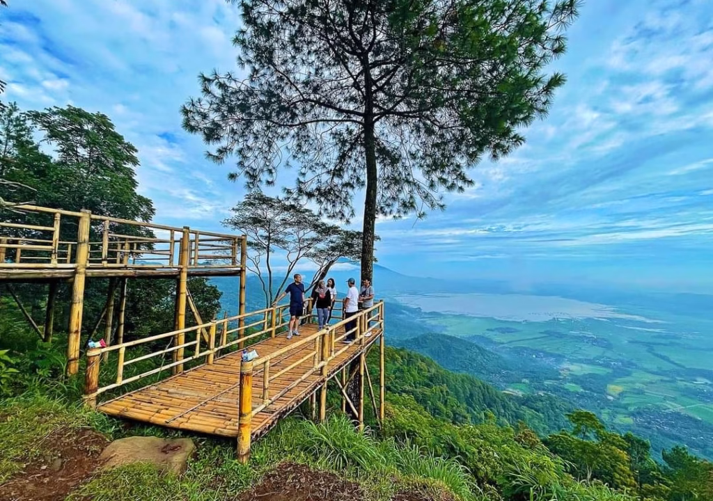 WhatsApp Image 2024-11-11 at 17.24.25