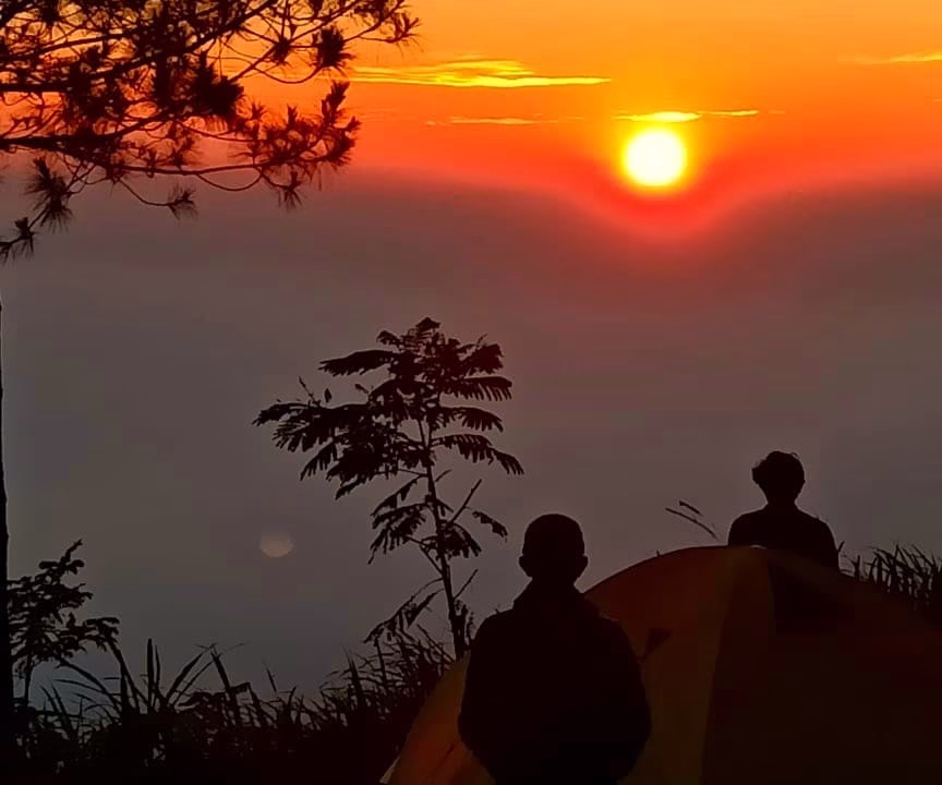 WhatsApp Image 2024-11-11 at 17.24.27