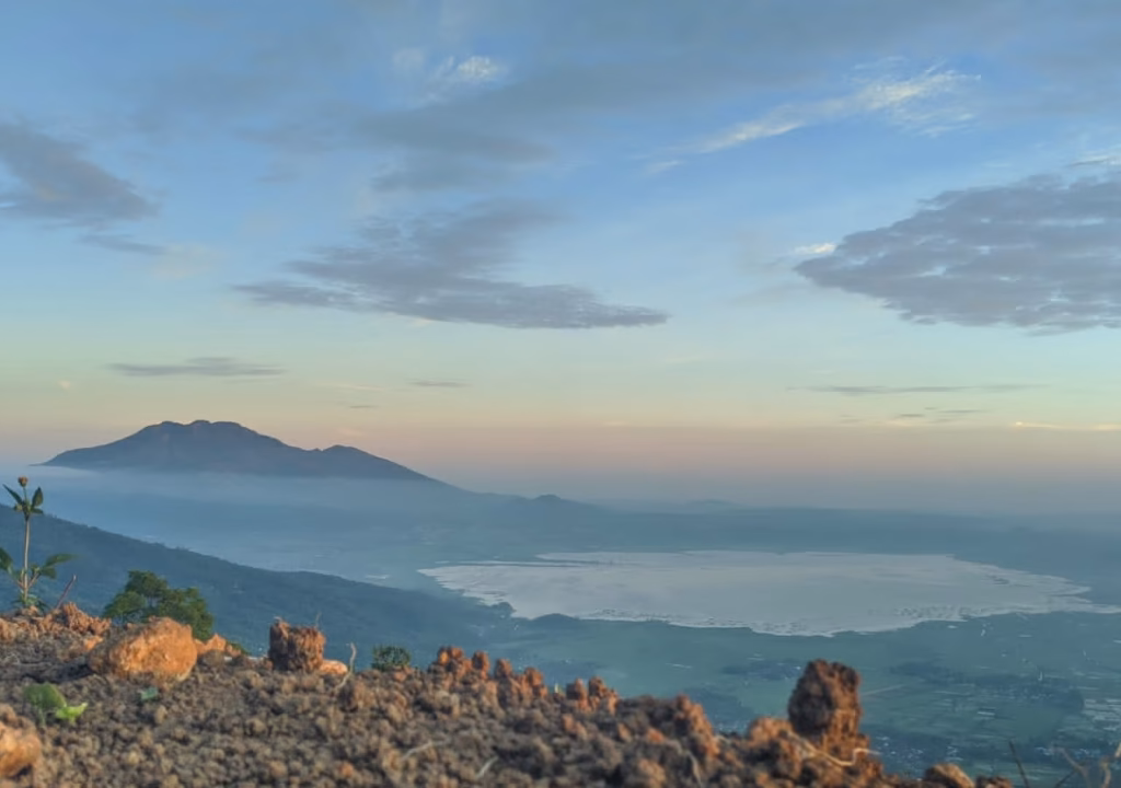 WhatsApp Image 2024-11-11 at 17.24.34