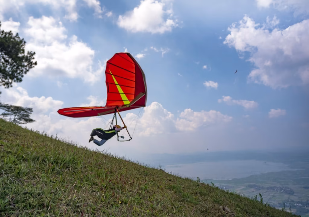 WhatsApp Image 2024-11-11 at 17.24.35