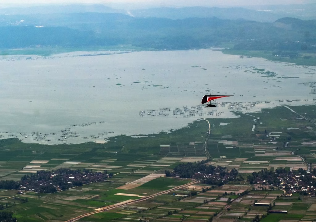 WhatsApp Image 2024-11-11 at 17.24.36